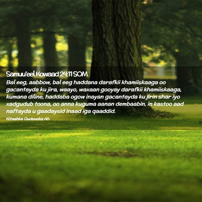 Picture 02 - Samuu'eel Kowaad 24:11 SOM - Bal eeg, aabbow, bal eeg haddana darafkii - Bible Verse Picture