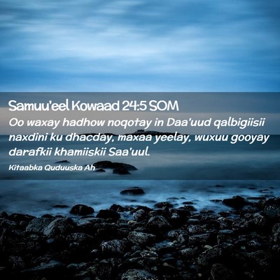 Picture 02 - Samuu'eel Kowaad 24:5 SOM - Oo waxay hadhow noqotay in Daa'uud qalbigiisii - Bible Verse Picture