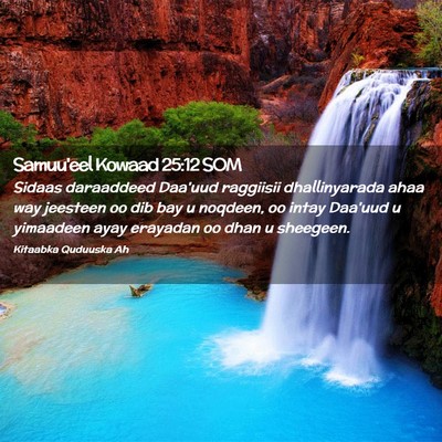 Picture 02 - Samuu'eel Kowaad 25:12 SOM - Sidaas daraaddeed Daa'uud raggiisii dhallinyarada - Bible Verse Picture