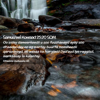 Picture 02 - Samuu'eel Kowaad 25:20 SOM - Oo siday dameerkeedii u soo fuushanayd ayay soo - Bible Verse Picture