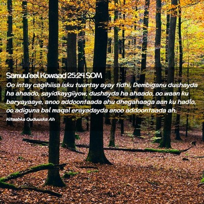Picture 02 - Samuu'eel Kowaad 25:24 SOM - Oo intay cagihiisa isku tuurtay ayay tidhi, - Bible Verse Picture