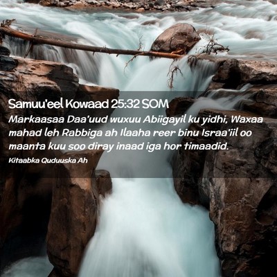 Picture 02 - Samuu'eel Kowaad 25:32 SOM - Markaasaa Daa'uud wuxuu Abiigayil ku yidhi, Waxaa - Bible Verse Picture