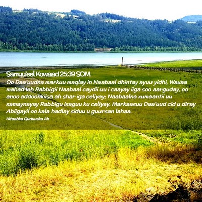 Picture 02 - Samuu'eel Kowaad 25:39 SOM - Oo Daa'uudna markuu maqlay in Naabaal dhintay - Bible Verse Picture