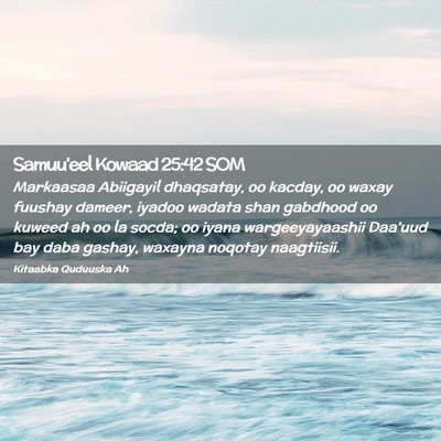 Picture 02 - Samuu'eel Kowaad 25:42 SOM - Markaasaa Abiigayil dhaqsatay, oo kacday, oo - Bible Verse Picture