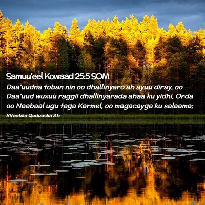 Picture 02 - Samuu'eel Kowaad 25:5 SOM - Daa'uudna toban nin oo dhallinyaro ah ayuu diray, - Bible Verse Picture