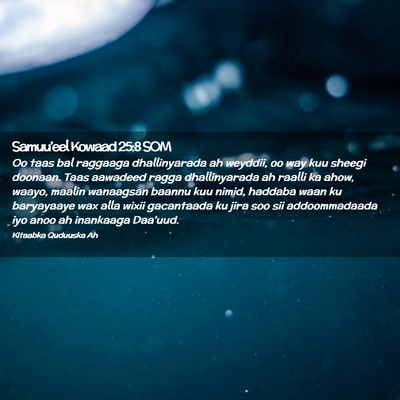 Picture 02 - Samuu'eel Kowaad 25:8 SOM - Oo taas bal raggaaga dhallinyarada ah weyddii, oo - Bible Verse Picture