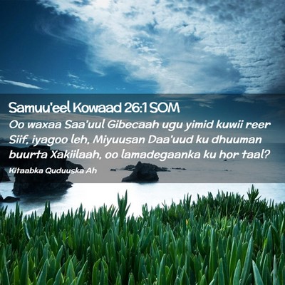 Picture 02 - Samuu'eel Kowaad 26:1 SOM - Oo waxaa Saa'uul Gibecaah ugu yimid kuwii reer - Bible Verse Picture