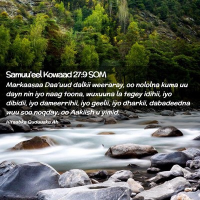 Picture 02 - Samuu'eel Kowaad 27:9 SOM - Markaasaa Daa'uud dalkii weeraray, oo nololna - Bible Verse Picture