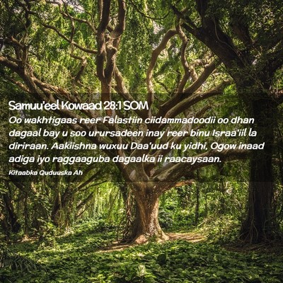 Picture 02 - Samuu'eel Kowaad 28:1 SOM - Oo wakhtigaas reer Falastiin ciidammadoodii oo - Bible Verse Picture