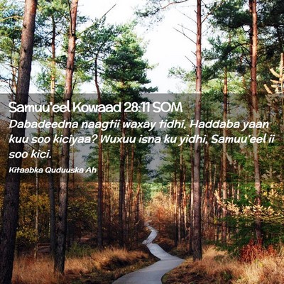 Picture 02 - Samuu'eel Kowaad 28:11 SOM - Dabadeedna naagtii waxay tidhi, Haddaba yaan kuu - Bible Verse Picture