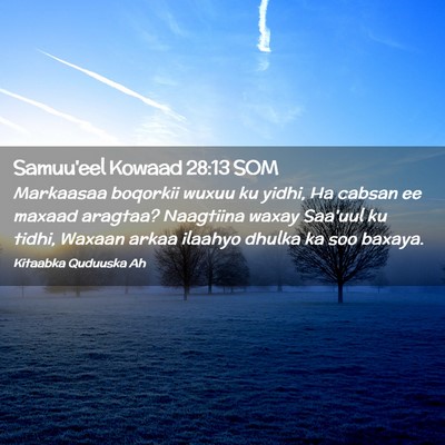 Picture 02 - Samuu'eel Kowaad 28:13 SOM - Markaasaa boqorkii wuxuu ku yidhi, Ha cabsan ee - Bible Verse Picture
