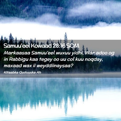 Picture 02 - Samuu'eel Kowaad 28:16 SOM - Markaasaa Samuu'eel wuxuu yidhi, War adoo og in - Bible Verse Picture
