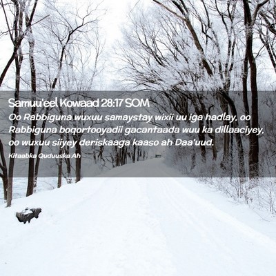 Picture 02 - Samuu'eel Kowaad 28:17 SOM - Oo Rabbiguna wuxuu samaystay wixii uu iga hadlay, - Bible Verse Picture