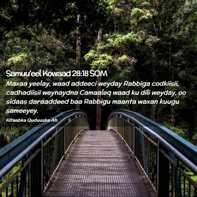 Picture 02 - Samuu'eel Kowaad 28:18 SOM - Maxaa yeelay, waad addeeci weyday Rabbiga - Bible Verse Picture