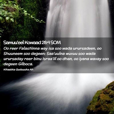 Picture 02 - Samuu'eel Kowaad 28:4 SOM - Oo reer Falastiinna way isa soo wada urursadeen, - Bible Verse Picture