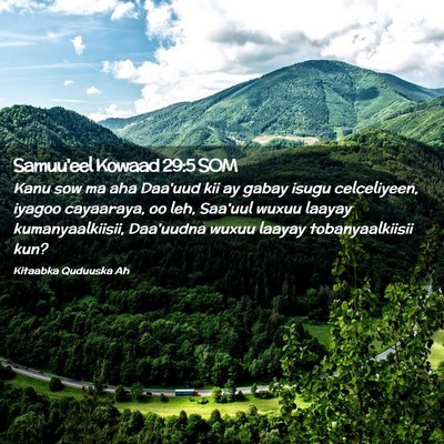 Picture 02 - Samuu'eel Kowaad 29:5 SOM - Kanu sow ma aha Daa'uud kii ay gabay isugu - Bible Verse Picture