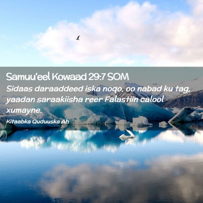Picture 02 - Samuu'eel Kowaad 29:7 SOM - Sidaas daraaddeed iska noqo, oo nabad ku tag, - Bible Verse Picture