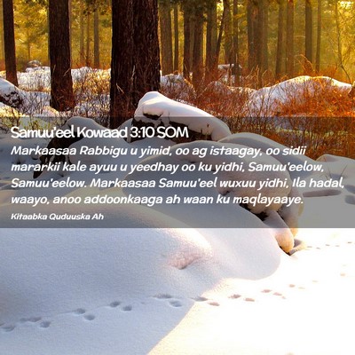 Picture 02 - Samuu'eel Kowaad 3:10 SOM - Markaasaa Rabbigu u yimid, oo ag istaagay, oo - Bible Verse Picture