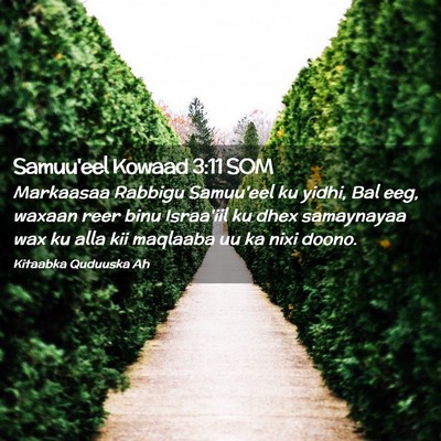 Picture 02 - Samuu'eel Kowaad 3:11 SOM - Markaasaa Rabbigu Samuu'eel ku yidhi, Bal eeg, - Bible Verse Picture