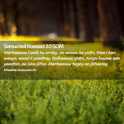 Picture 02 - Samuu'eel Kowaad 3:5 SOM - Markaasuu Ceelii ku orday, oo wuxuu ku yidhi, Waa - Bible Verse Picture