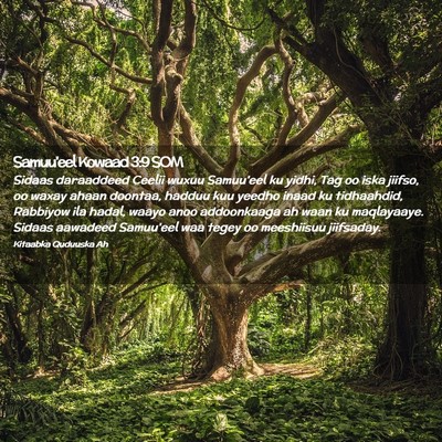 Picture 02 - Samuu'eel Kowaad 3:9 SOM - Sidaas daraaddeed Ceelii wuxuu Samuu'eel ku - Bible Verse Picture