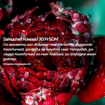 Picture 02 - Samuu'eel Kowaad 30:14 SOM - Oo waxaannu soo dhacnay reer Kereetiim xaggooda - Bible Verse Picture