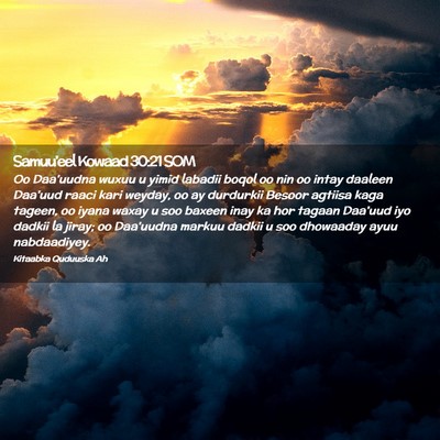 Picture 02 - Samuu'eel Kowaad 30:21 SOM - Oo Daa'uudna wuxuu u yimid labadii boqol oo nin - Bible Verse Picture