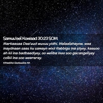 Picture 02 - Samuu'eel Kowaad 30:23 SOM - Markaasaa Daa'uud wuxuu yidhi, Walaalahayow, waa - Bible Verse Picture