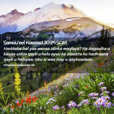 Picture 02 - Samuu'eel Kowaad 30:24 SOM - Haddaba bal yaa waxaa idinka maqlaya? Ka dagaalka - Bible Verse Picture