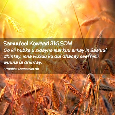 Picture 02 - Samuu'eel Kowaad 31:5 SOM - Oo kii hubka u sidayna markuu arkay in Saa'uul - Bible Verse Picture