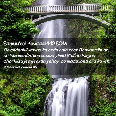 Picture 02 - Samuu'eel Kowaad 4:12 SOM - Oo ciidankii waxaa ka orday nin reer Benyaamiin - Bible Verse Picture