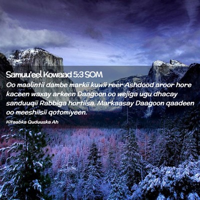 Picture 02 - Samuu'eel Kowaad 5:3 SOM - Oo maalintii dambe markii kuwii reer Ashdood - Bible Verse Picture