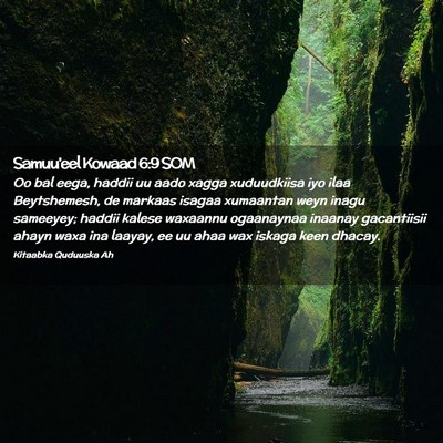 Picture 02 - Samuu'eel Kowaad 6:9 SOM - Oo bal eega, haddii uu aado xagga xuduudkiisa iyo - Bible Verse Picture