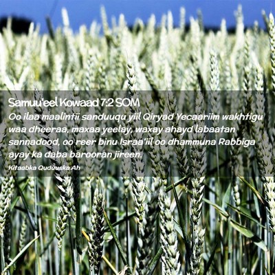 Picture 02 - Samuu'eel Kowaad 7:2 SOM - Oo ilaa maalintii sanduuqu yiil Qiryad Yecaariim - Bible Verse Picture