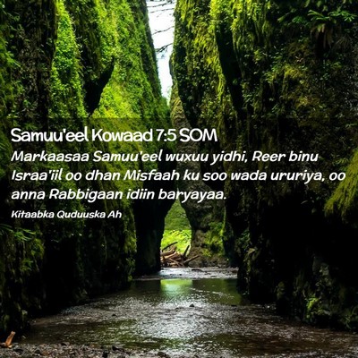 Picture 02 - Samuu'eel Kowaad 7:5 SOM - Markaasaa Samuu'eel wuxuu yidhi, Reer binu - Bible Verse Picture