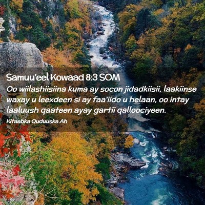 Picture 02 - Samuu'eel Kowaad 8:3 SOM - Oo wiilashiisiina kuma ay socon jidadkiisii, - Bible Verse Picture