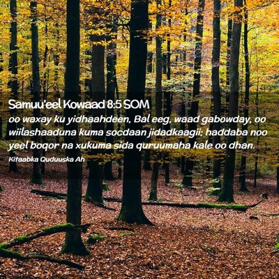 Picture 02 - Samuu'eel Kowaad 8:5 SOM - oo waxay ku yidhaahdeen, Bal eeg, waad gabowday, - Bible Verse Picture
