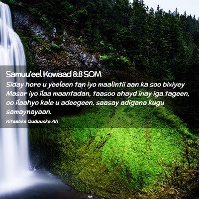 Picture 02 - Samuu'eel Kowaad 8:8 SOM - Siday hore u yeeleen tan iyo maalintii aan ka soo - Bible Verse Picture