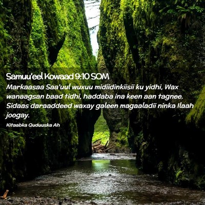 Picture 02 - Samuu'eel Kowaad 9:10 SOM - Markaasaa Saa'uul wuxuu midiidinkiisii ku yidhi, - Bible Verse Picture