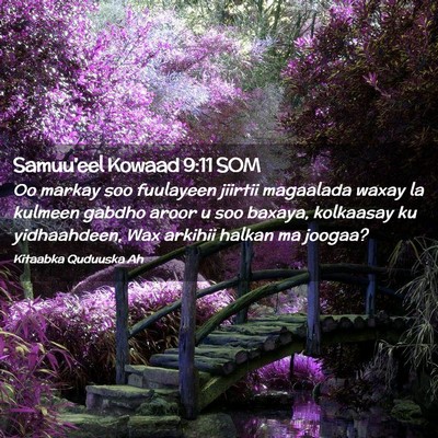 Picture 02 - Samuu'eel Kowaad 9:11 SOM - Oo markay soo fuulayeen jiirtii magaalada waxay - Bible Verse Picture