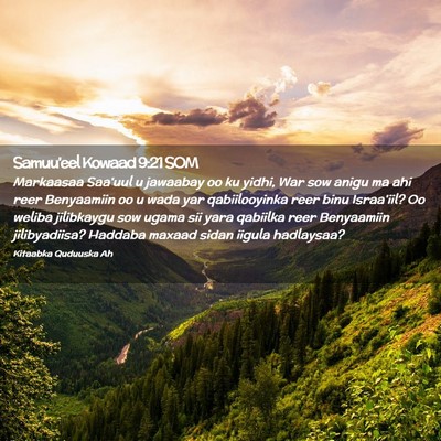 Picture 02 - Samuu'eel Kowaad 9:21 SOM - Markaasaa Saa'uul u jawaabay oo ku yidhi, War sow - Bible Verse Picture