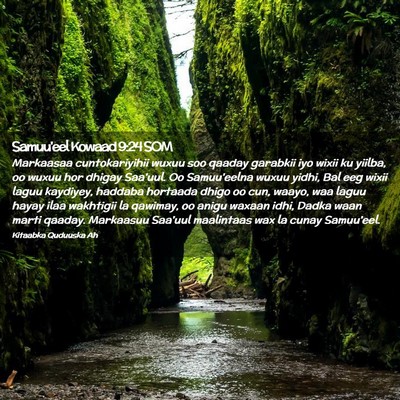 Picture 02 - Samuu'eel Kowaad 9:24 SOM - Markaasaa cuntokariyihii wuxuu soo qaaday - Bible Verse Picture