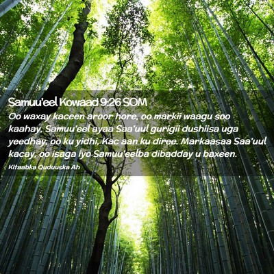 Picture 02 - Samuu'eel Kowaad 9:26 SOM - Oo waxay kaceen aroor hore, oo markii waagu soo - Bible Verse Picture