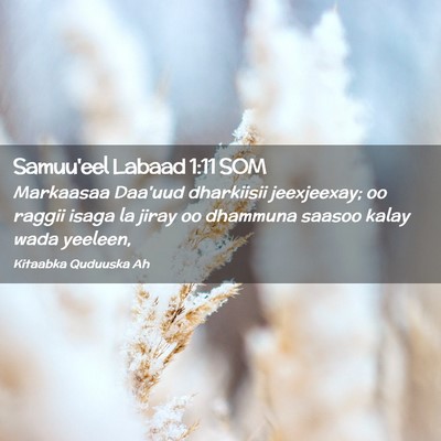 Picture 02 - Samuu'eel Labaad 1:11 SOM - Markaasaa Daa'uud dharkiisii jeexjeexay; oo - Bible Verse Picture
