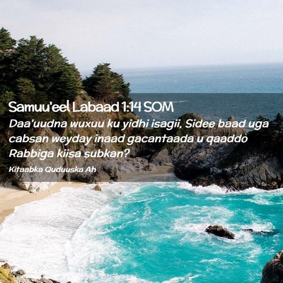 Picture 02 - Samuu'eel Labaad 1:14 SOM - Daa'uudna wuxuu ku yidhi isagii, Sidee baad uga - Bible Verse Picture