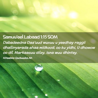 Picture 02 - Samuu'eel Labaad 1:15 SOM - Dabadeedna Daa'uud wuxuu u yeedhay raggii - Bible Verse Picture