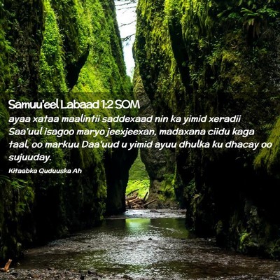 Picture 02 - Samuu'eel Labaad 1:2 SOM - ayaa xataa maalintii saddexaad nin ka yimid - Bible Verse Picture