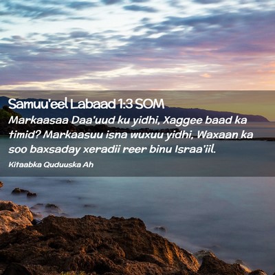 Picture 02 - Samuu'eel Labaad 1:3 SOM - Markaasaa Daa'uud ku yidhi, Xaggee baad ka timid? - Bible Verse Picture