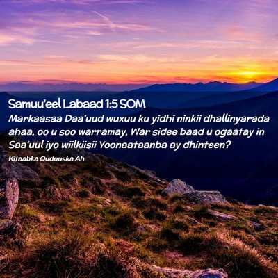 Picture 02 - Samuu'eel Labaad 1:5 SOM - Markaasaa Daa'uud wuxuu ku yidhi ninkii - Bible Verse Picture