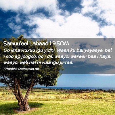 Picture 02 - Samuu'eel Labaad 1:9 SOM - Oo isna wuxuu igu yidhi, Waan ku baryayaaye, bal - Bible Verse Picture